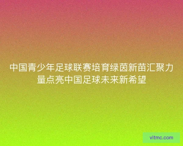 中国青少年足球联赛培育绿茵新苗汇聚力量点亮中国足球未来新希望